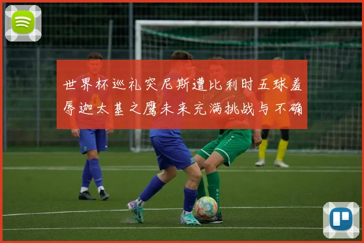 世界杯巡礼突尼斯遭比利时五球羞辱迦太基之鹰未来充满挑战与不确定性